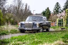 Gebrauchtwagen Mercedes 250 SE