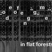 Code of Engagement in Flat Forests Berlin